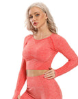 Seamless Yoga Top Fitness Long Sleeve Women Gym Crop Top