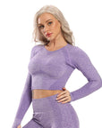 Seamless Yoga Top Fitness Long Sleeve Women Gym Crop Top