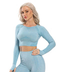 Seamless Yoga Top Fitness Long Sleeve Women Gym Crop Top