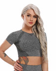 Seamless Yoga Top Fitness Long Sleeve Women Gym Crop Top