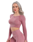 Seamless Yoga Top Fitness Long Sleeve Women Gym Crop Top