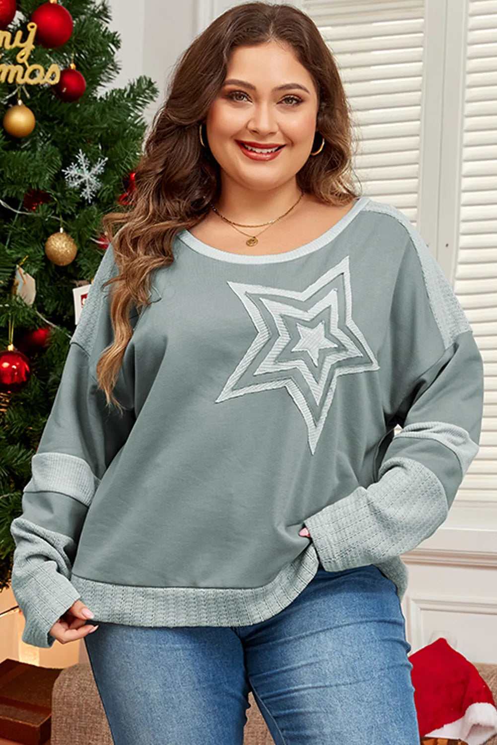 Plus Size Star Round Neck Long Sleeve Top - Little Miss Vanilla