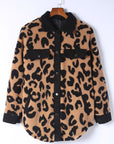 Black Contrast Trimmed Leopard Teddy Shacket - Little Miss Vanilla