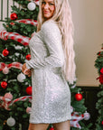 Silvery Sequin Long Sleeve Tie Waist Mini Dress - Little Miss Vanilla