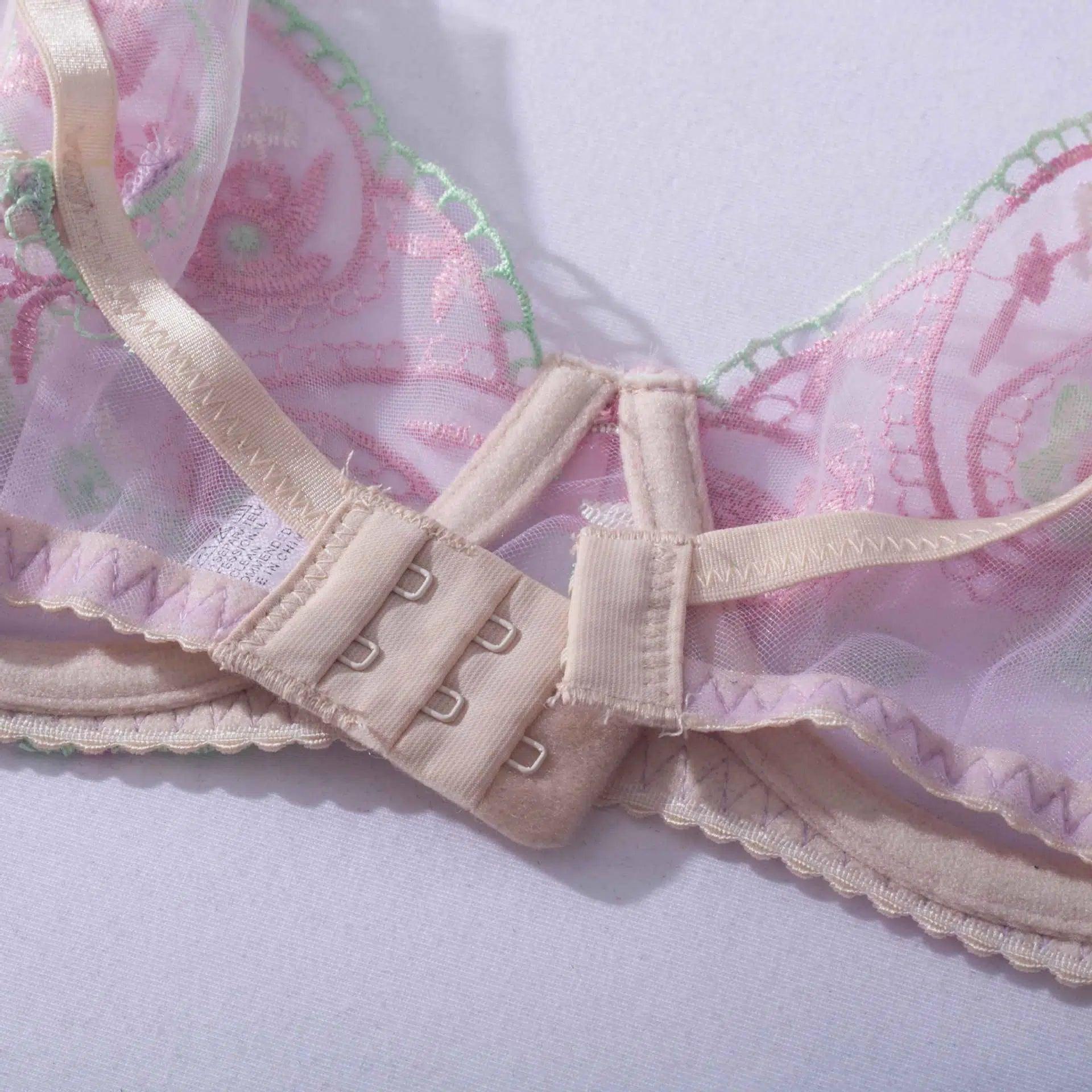 Sheer Mesh Sexy Lingerie Bra Set with Embroidered Flowers - Little Miss Vanilla